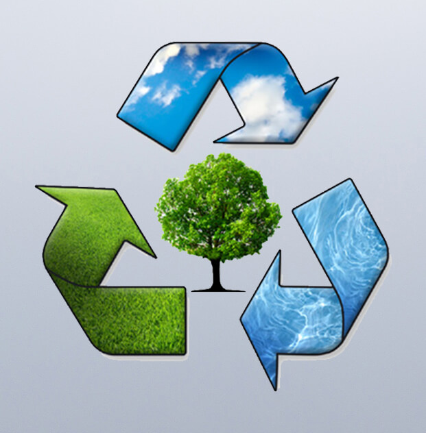 environment policy