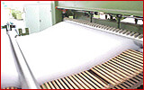 Manufacturing Facilities