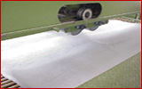 Manufacturing Facilities